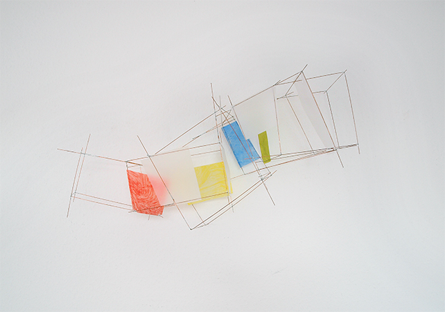 M64 Hagedis Camäleon